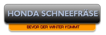 Schneefrsen